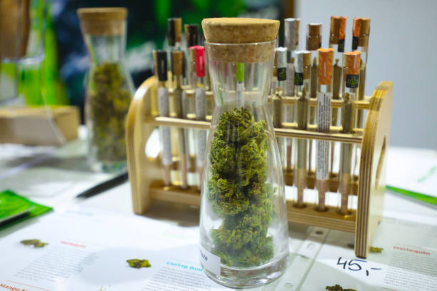 Best Herbal Remedies