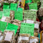 Best Herbal Remedies