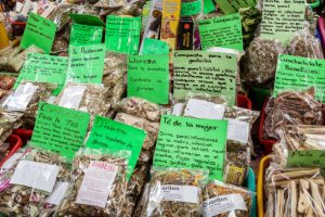 Best Herbal Remedies